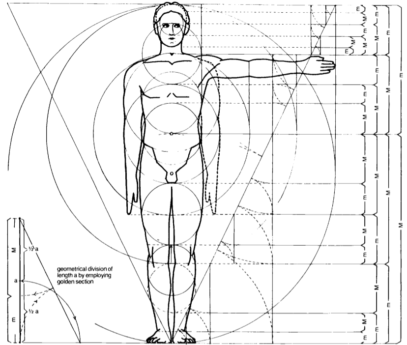 The Human Body and the Golden Ratio